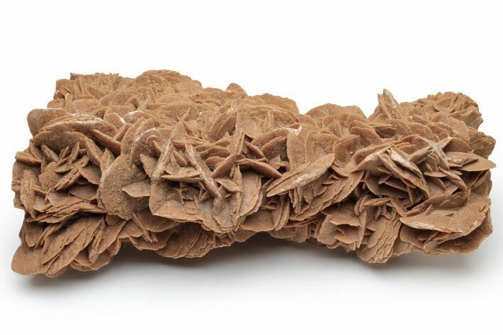 Desert (Selenite) Rose - Sahara Desert #233083